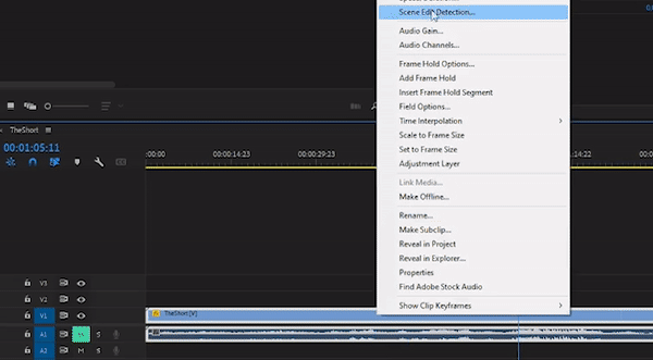 Edit Faster With These Five Hidden Features in Premiere Pro - Scene Edit Detection